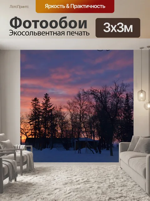Фотообои Деревья