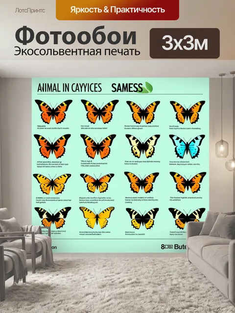 Фотообои животные в стиле инфографический рисунок, где представлены разные виды бабочек с описанием их циклов жизни