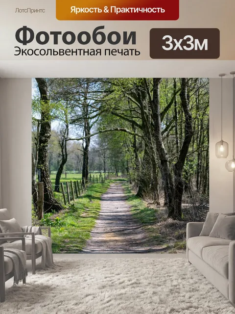 Фотообои Деревья