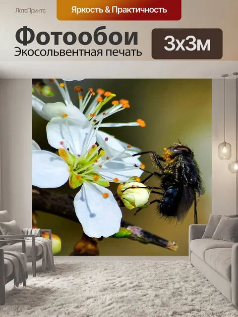 Фотообои Летать