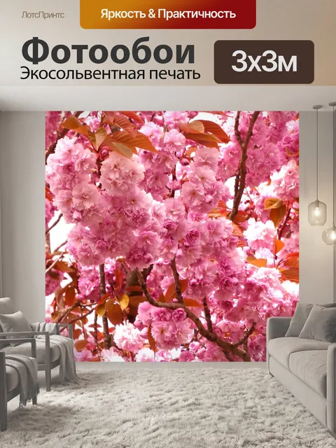 Фотообои Вишня В Цвету
