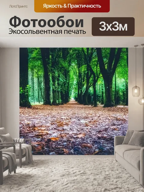Фотообои Лес