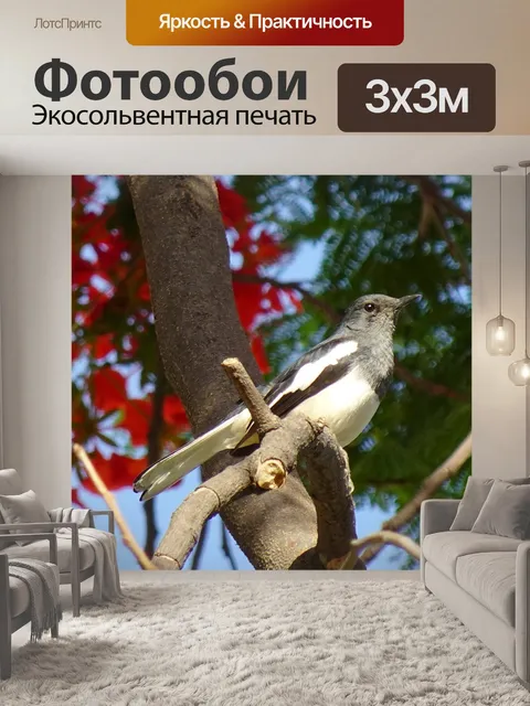 Фотообои Птица