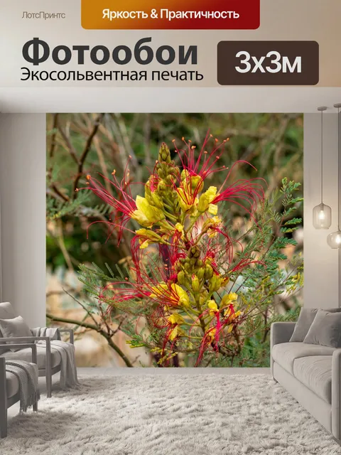 Фотообои Природа Крита