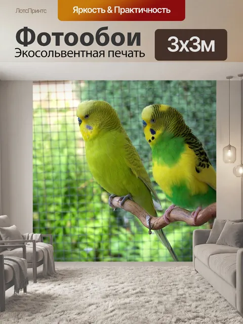 Фотообои Птицы