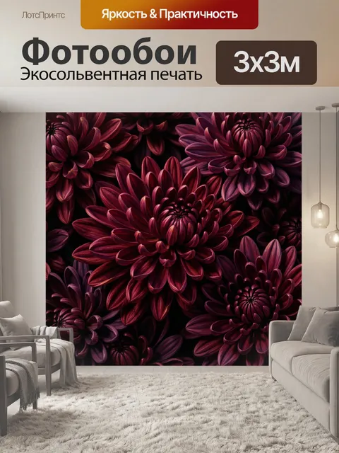 Фотообои Бордовые хризантемы на темном фоне