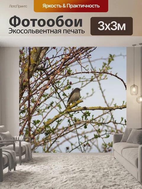 Фотообои Птица