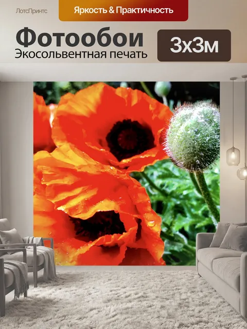 Фотообои Маки