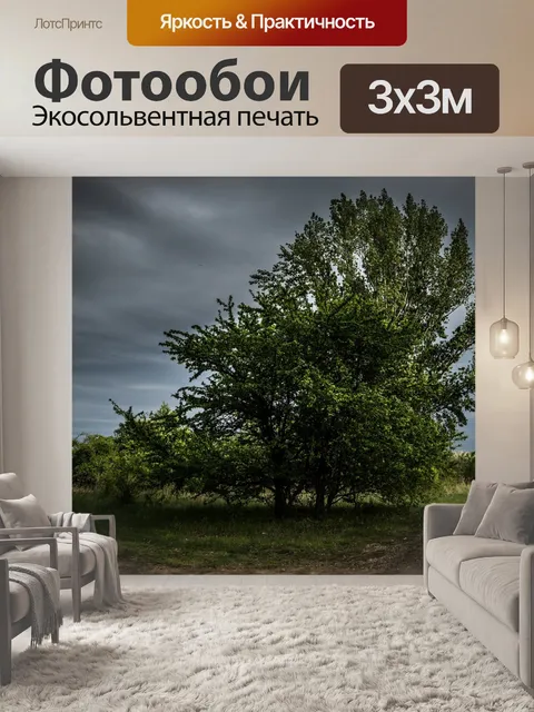 Фотообои Озеро