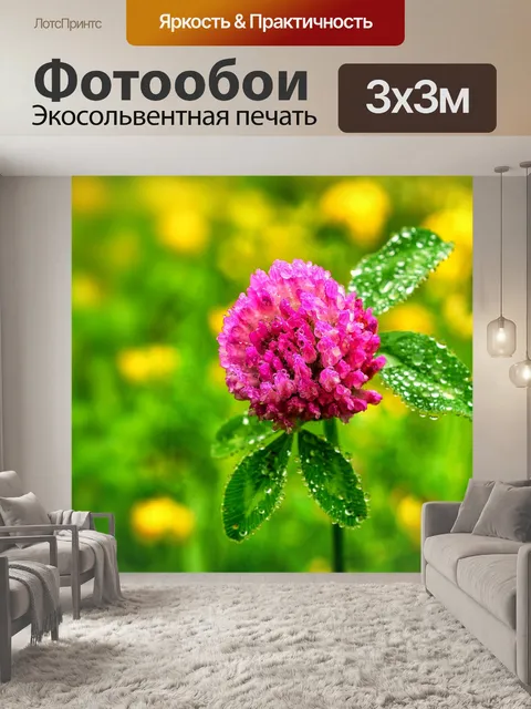 Фотообои Блоссом цветник природа