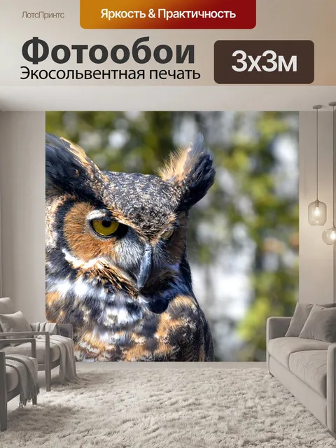 Фотообои Сова