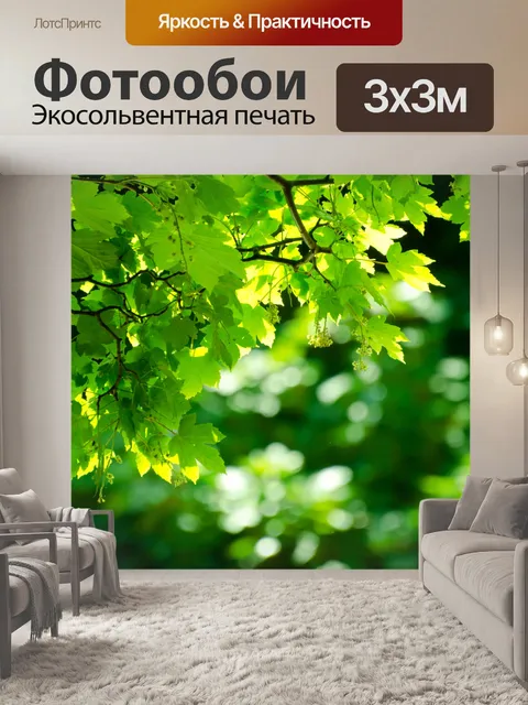 Фотообои Зеленые листья