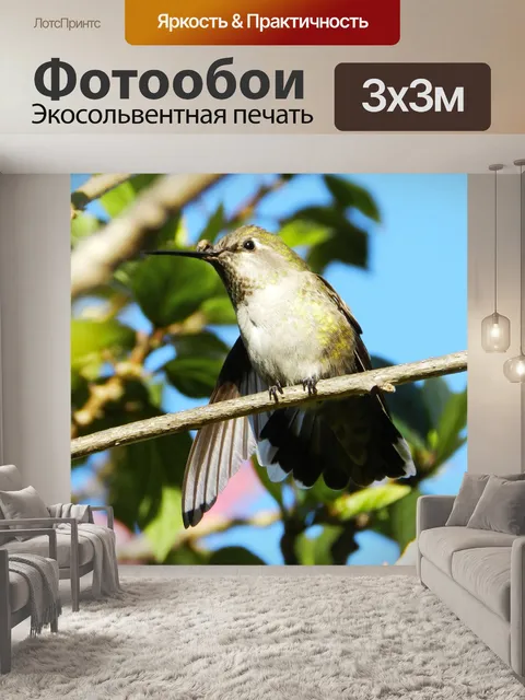 Фотообои Птица