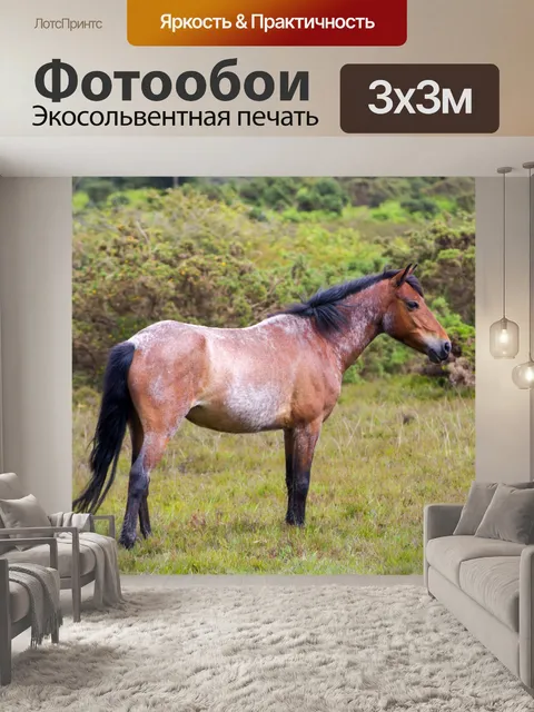 Фотообои Довольно Верховая
