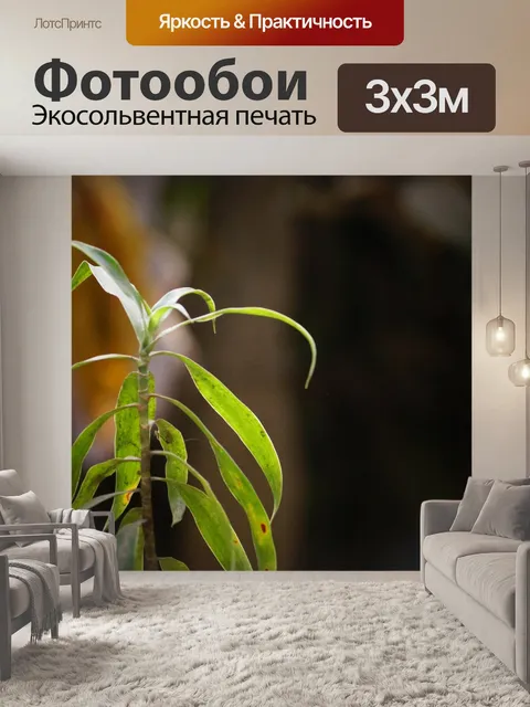 Фотообои Листья