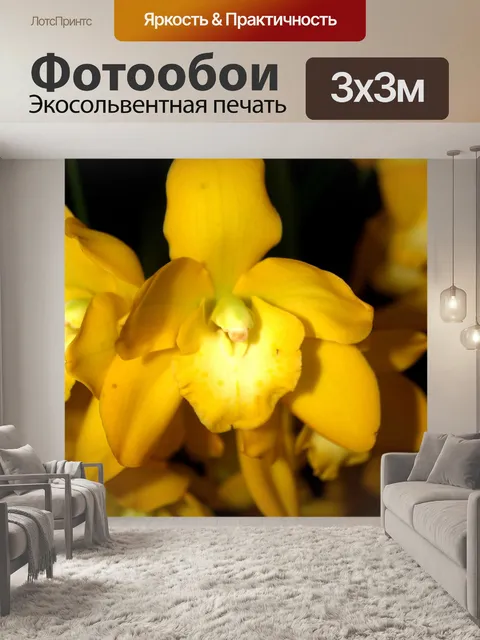 Фотообои Фото цветка орхидеи