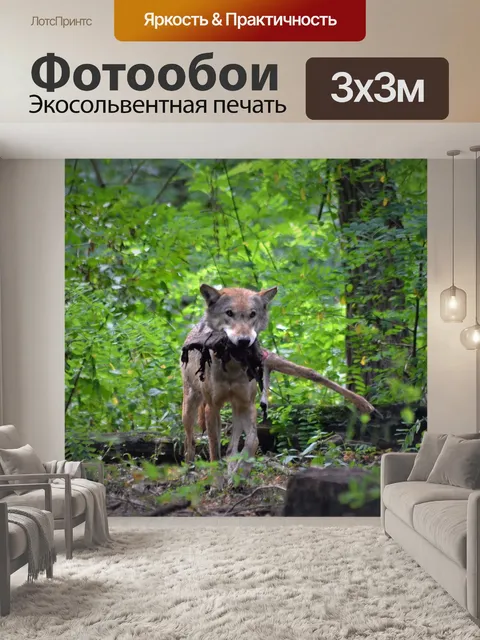 Фотообои Волк