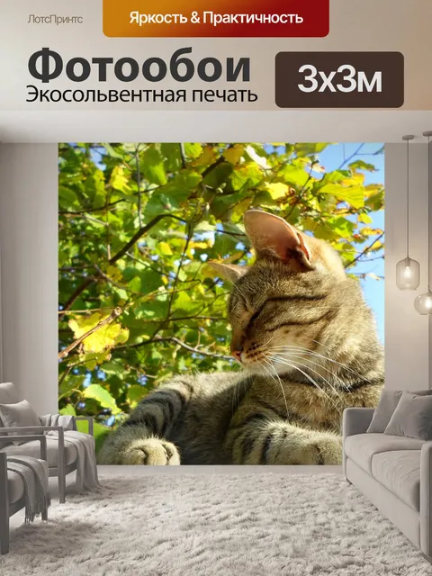 Фотообои Кошка