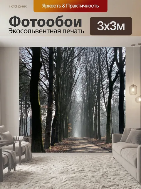 Фотообои Лес