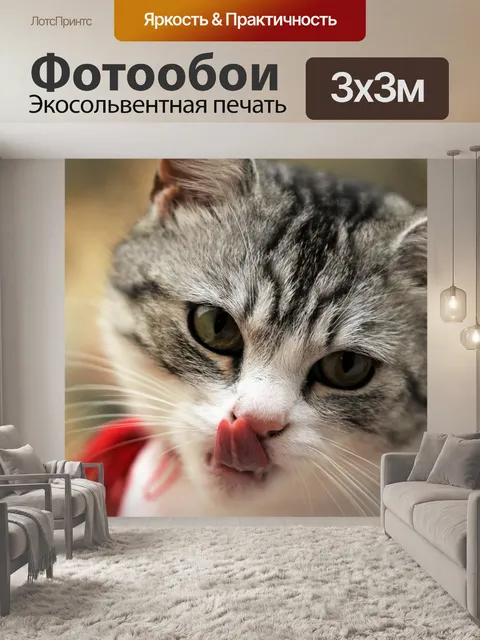 Фотообои Кошка