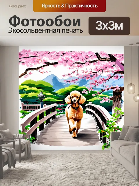 Фотообои пудель, изящно проходящий по мосту в японском саду, вокруг цветущие сакуры
