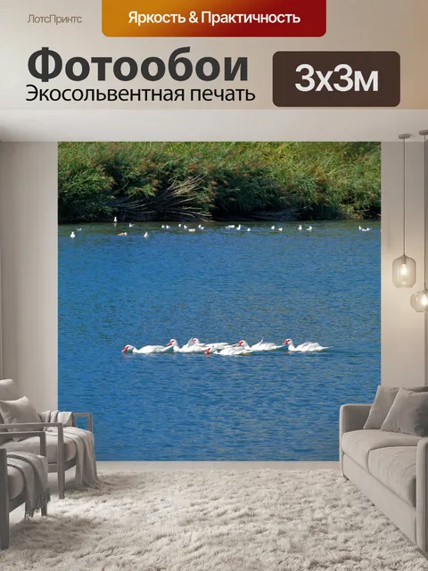 Фотообои Гуси