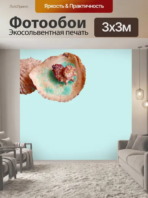 Фотообои Оболочка