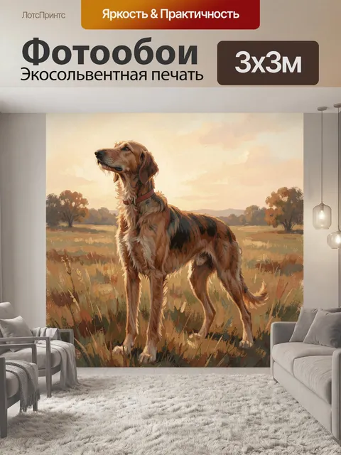 Фотообои Охотничья собака на лугу