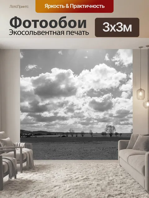Фотообои Черно-белый