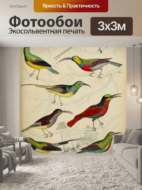 Фотообои Колибри птицы старинное искусство