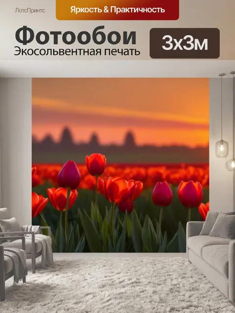 Фотообои тюльпаны на закате