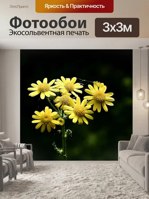 Фотообои Цветы