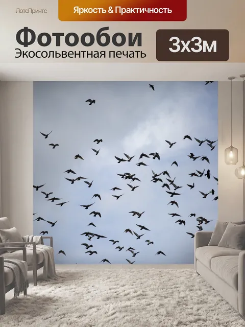 Фотообои Летающие птицы