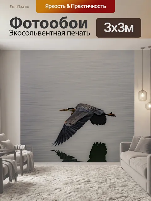 Фотообои Птица