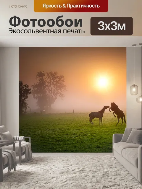 Фотообои Лошади