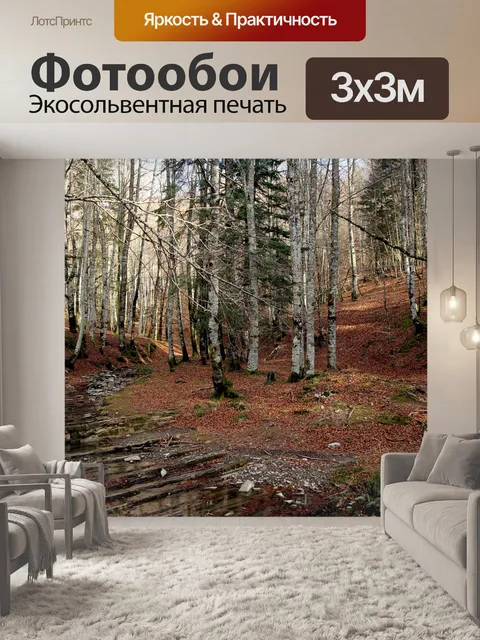 Фотообои Лес