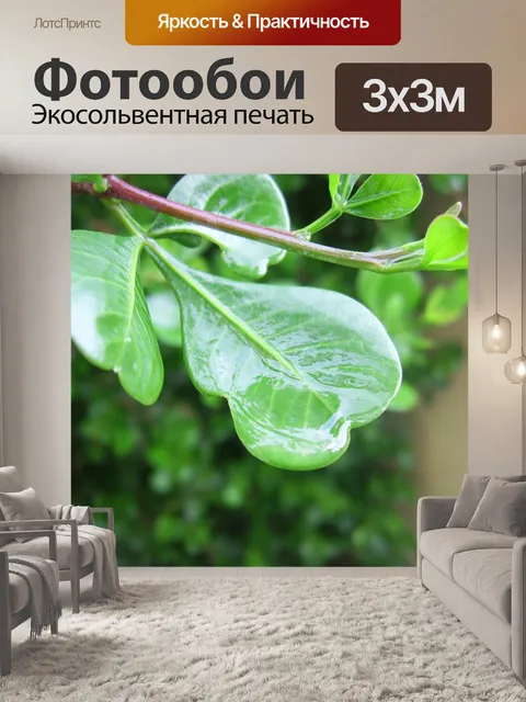 Фотообои Листья
