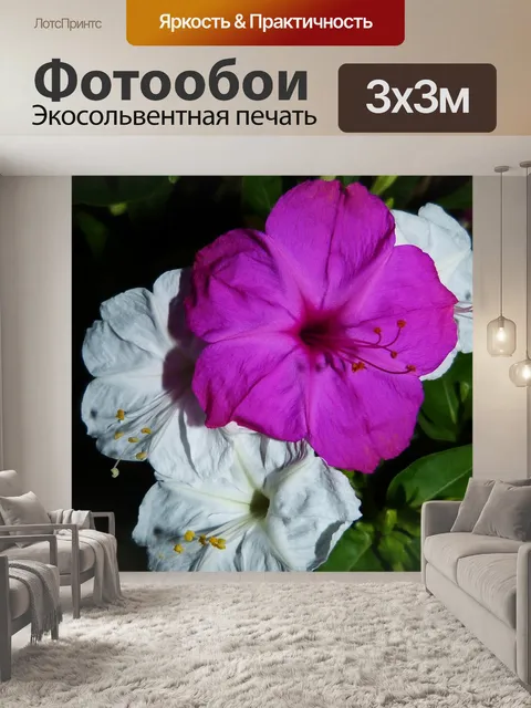 Фотообои Цветы