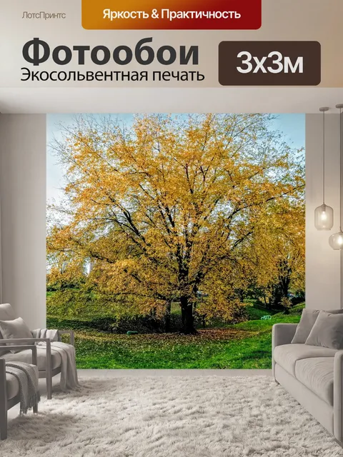 Фотообои Дерево