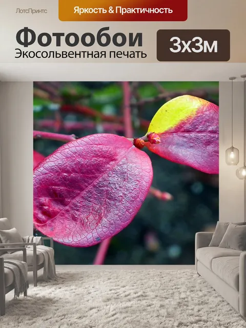 Фотообои Листья