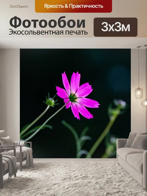 Фотообои Космос