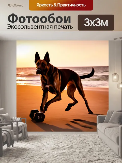 Фотообои бельгийская овчарка малинуа, скачущая по пляжу за гантелей, заснятая в стиле фильмов с низким освещением