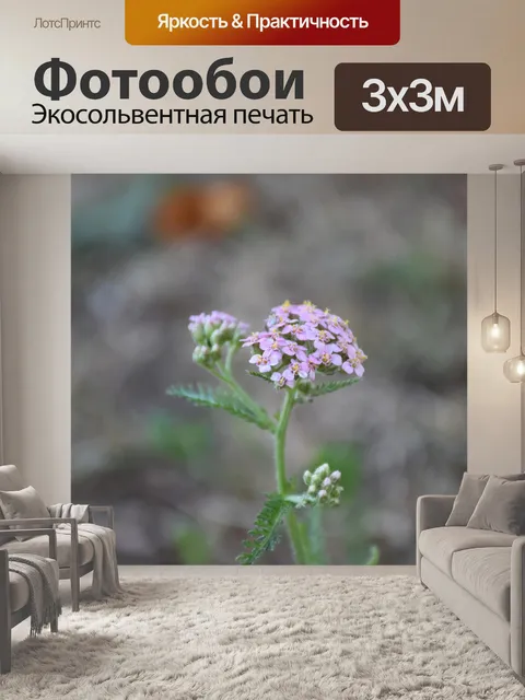Фотообои Цветы