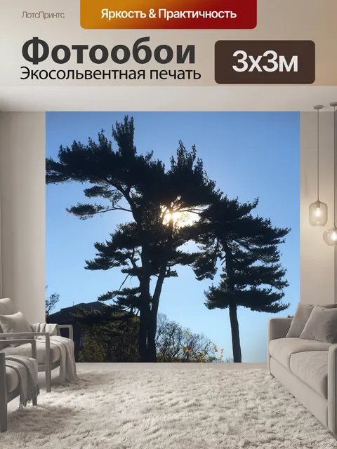 Фотообои Дерево