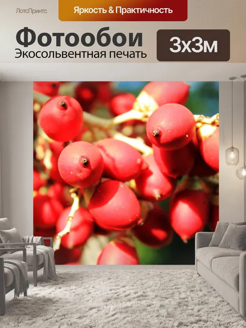 Фотообои Красные фрукты