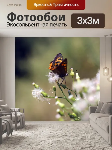 Фотообои Бабочка