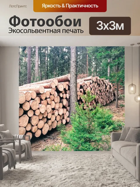 Фотообои Лес