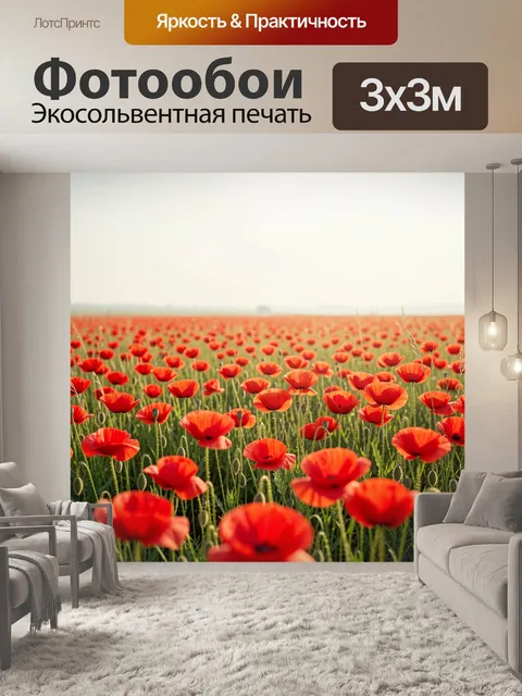 Фотообои Поле красных маков