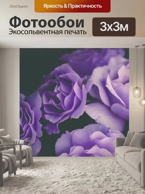 Фотообои Цветок розы фотоискусство
