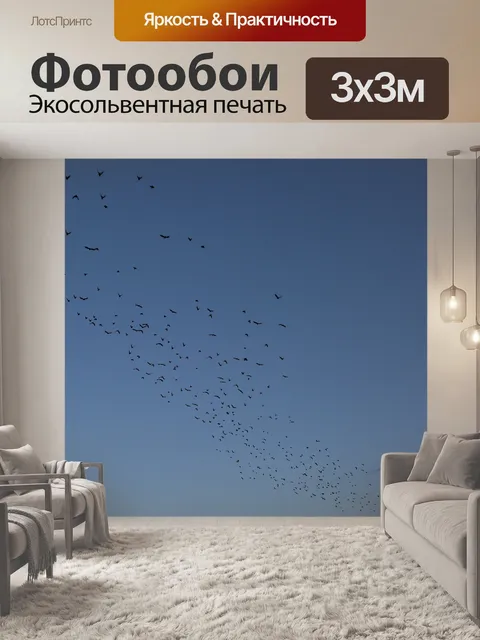 Фотообои Птицы